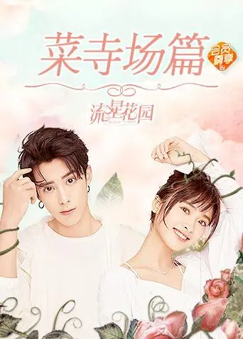 《星花园菜寺场篇》：经典重塑，爆笑来袭！看杉菜和道明寺在菜市场谱写爱情新篇章！