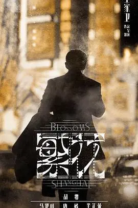 《繁花 普通话》：王家卫 endlich 拍了部能看懂的！这“在线攒功德”够味！