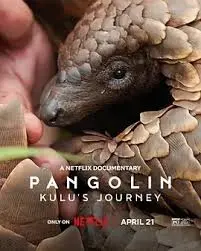 《穿山甲Kulu的旅程》：不止是体育片，更是关于生命与坚韧的史诗！