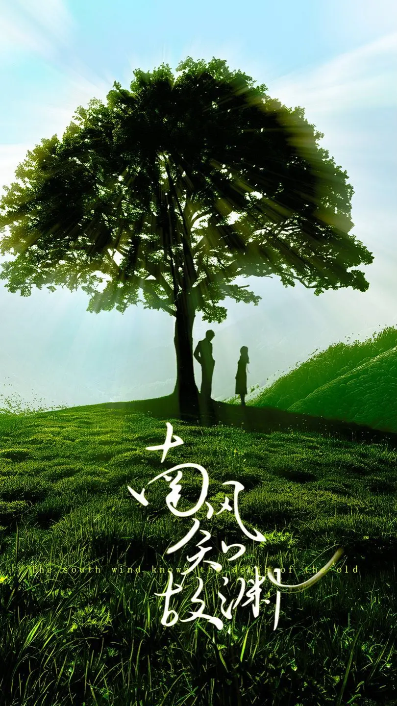 《南风知故渊》：年度最佳！一场荡气回肠的视听盛宴，看完让人热泪盈眶！