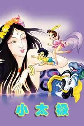 小太极 海报